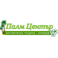 centrul palmei